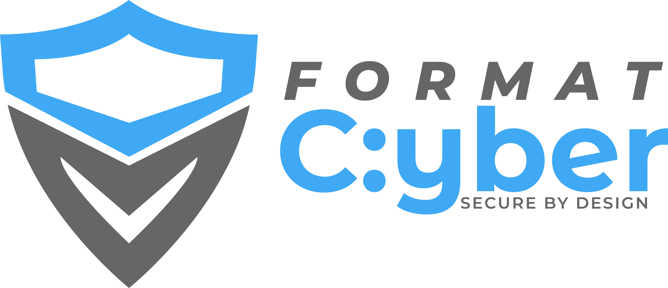 format-cyber-security-assessments